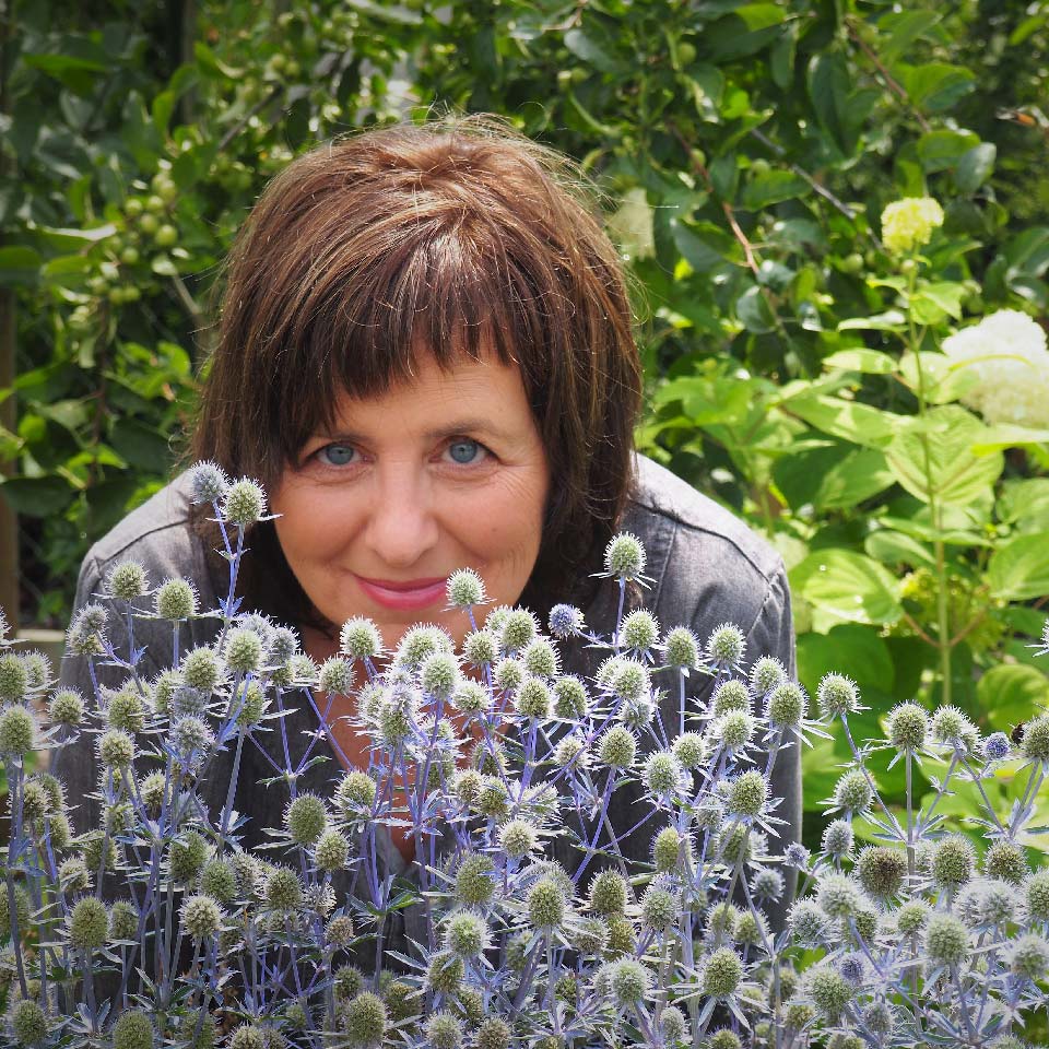 Ledum Ogrody, Wrocław: Małgorzata Piszczek